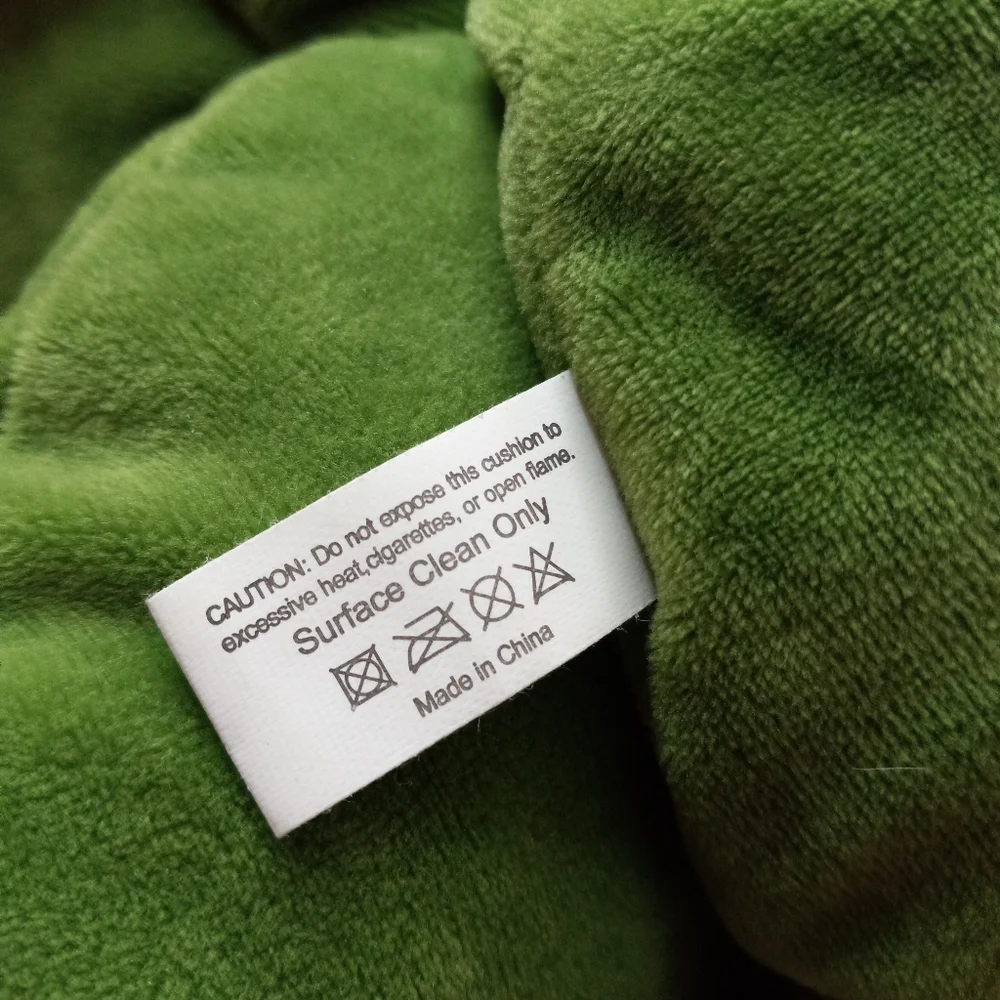 Green Philosophy Succulent Accent Pillow